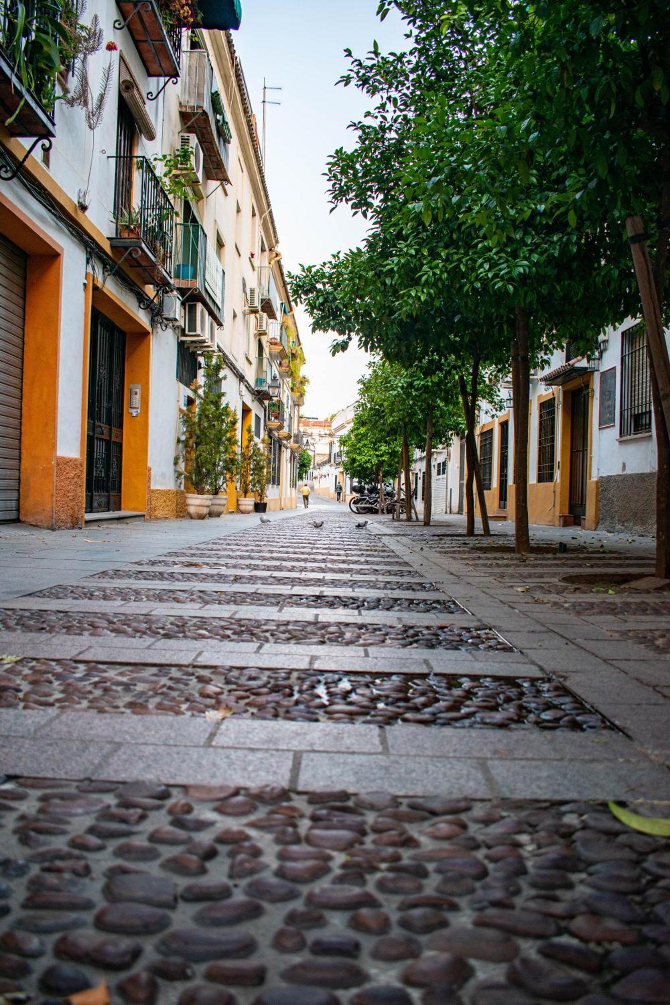 Alojamiento Entero, Centro De Cordoba Con Cochera Buitenkant foto